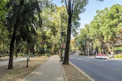Entregan pruebas a la Fiscalía del presunto responsable por envenenamiento de perritos en CDMX