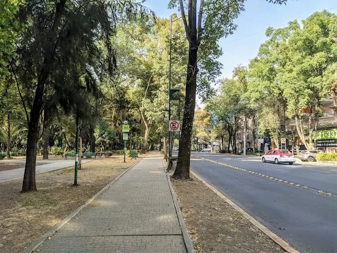 Entregan pruebas a la Fiscalía del presunto responsable por envenenamiento de perritos en CDMX