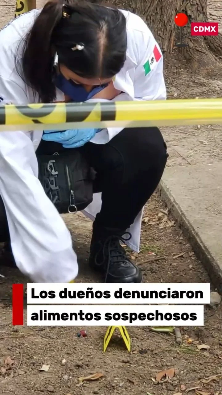El piloto Lewis Hamilton no olvida a su leal mascota por el Día de Muertos